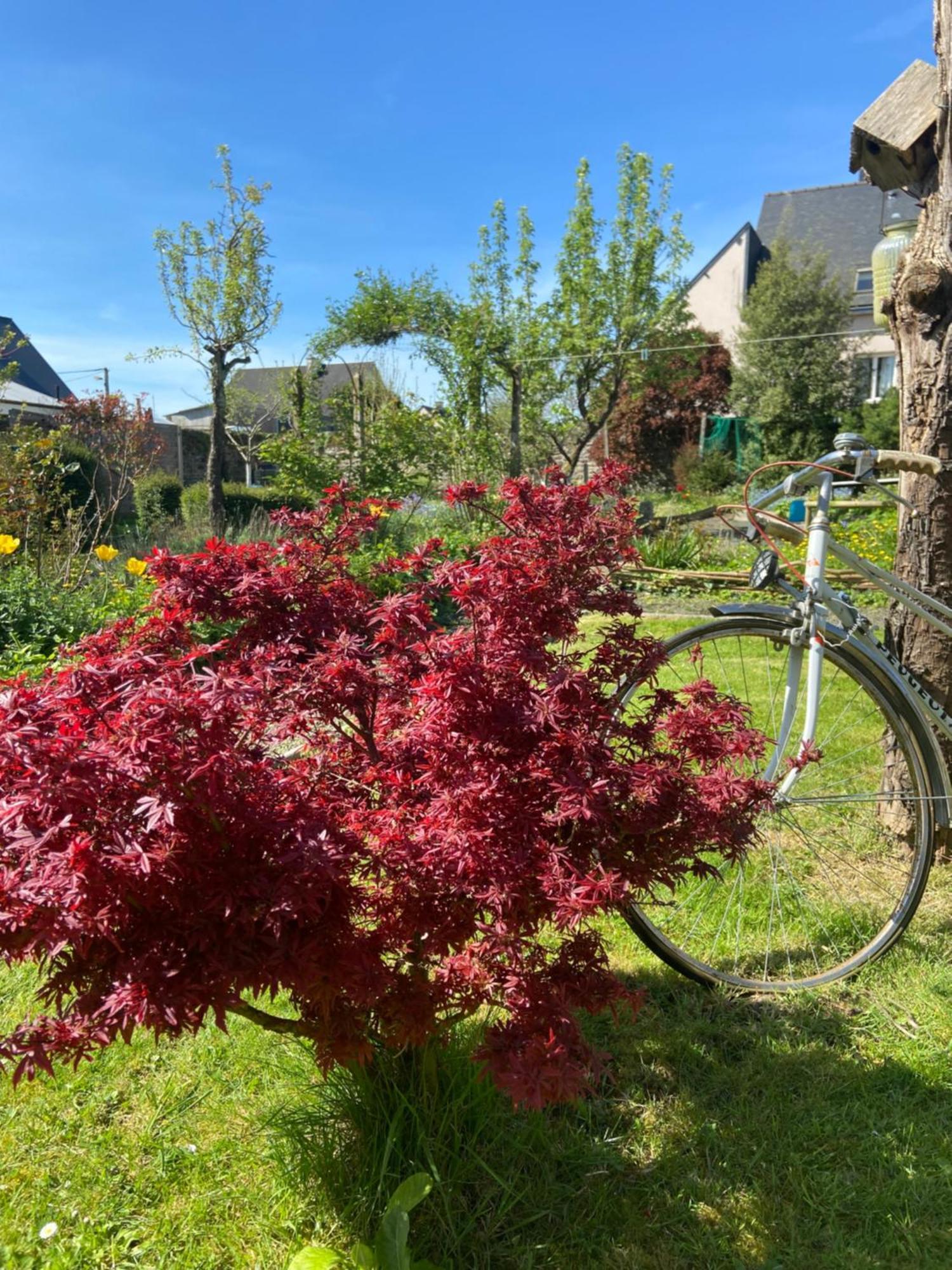 Atipyk'Ododo Bed & Breakfast Saint-James Dış mekan fotoğraf